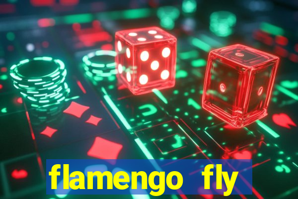 flamengo fly emirates ultimas noticias